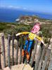 Woody at the Cape